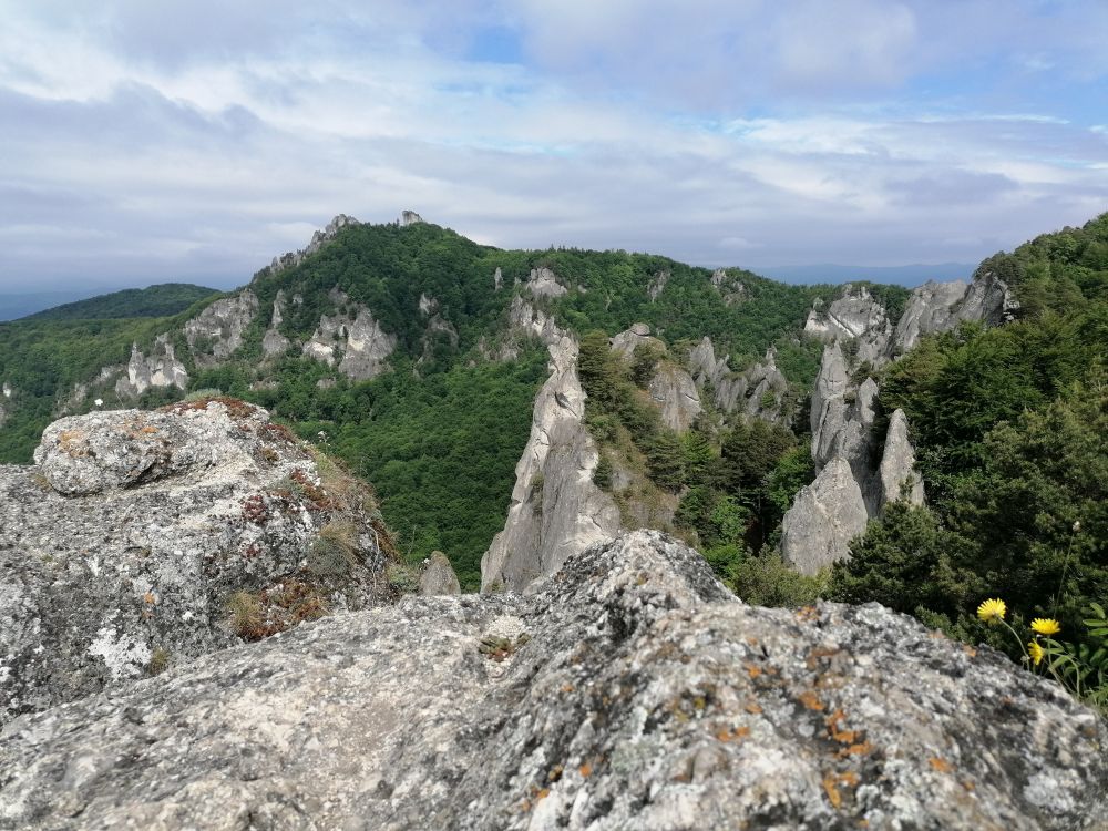 2025-05-26  Medvědáři na Súlově  W006