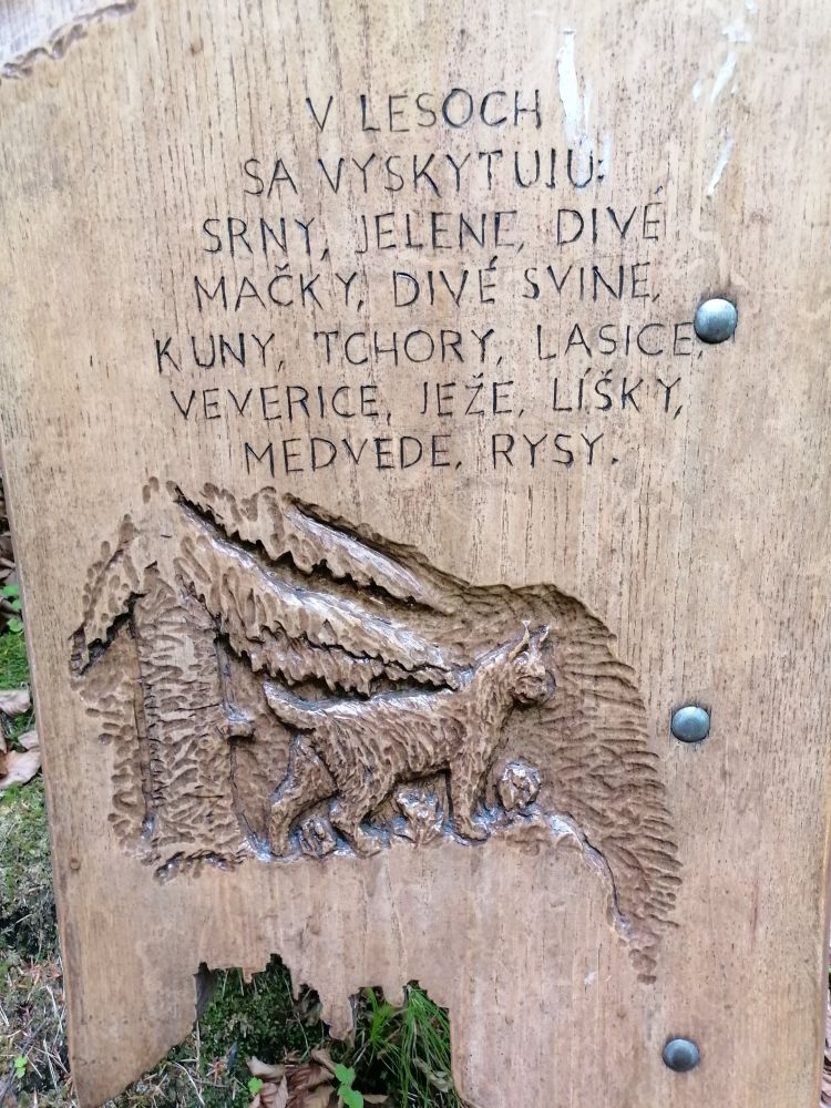 2025-05-26  Medvědáři na Súlově  W024