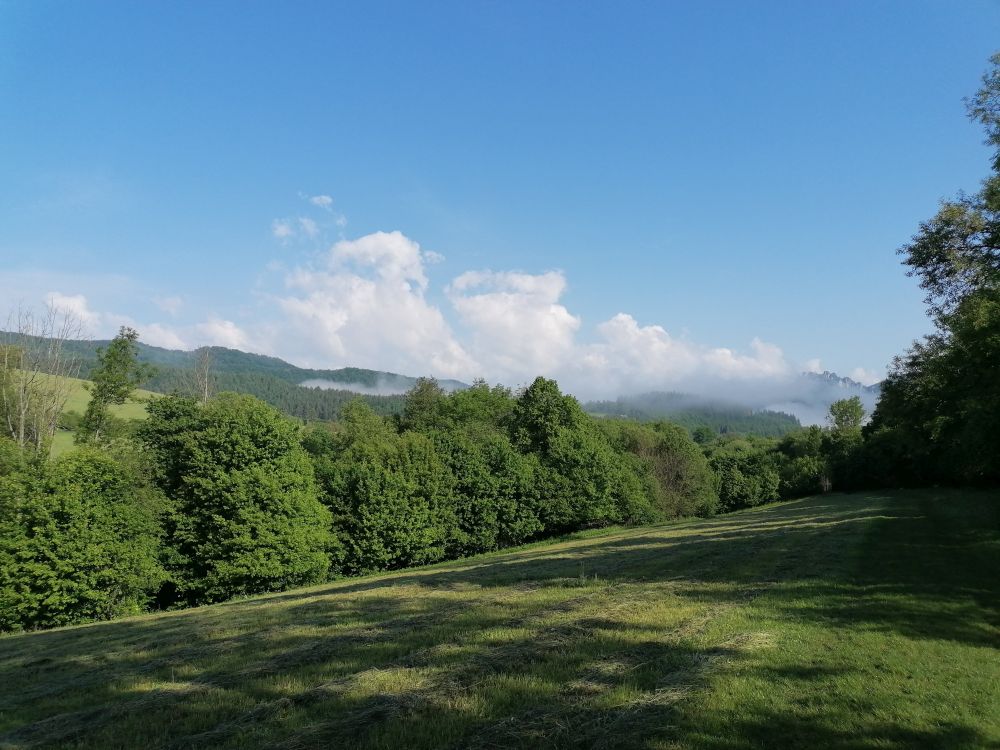 2025-05-27  Medvědáři na Súlově  W001
