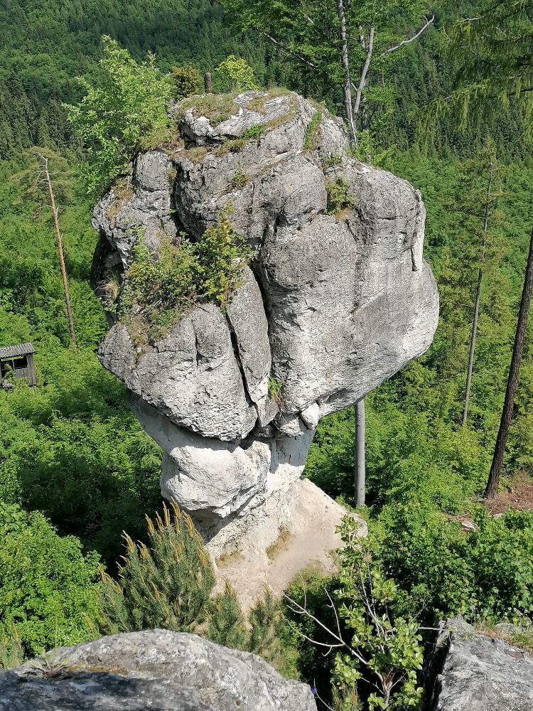 2025-05-27  Medvědáři na Súlově  W011