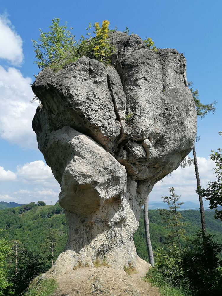 2025-05-27  Medvědáři na Súlově  W012