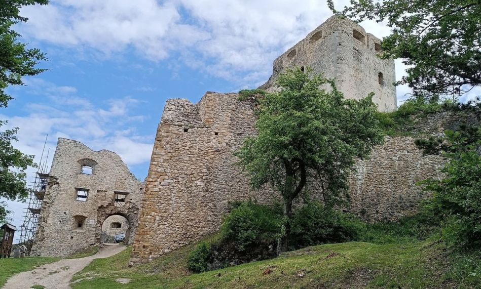 2025-05-28  Medvědáři na Súlově  W003