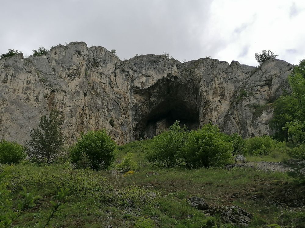 2025-05-28  Medvědáři na Súlově  W017