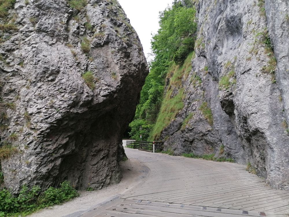 2025-05-28  Medvědáři na Súlově  W020
