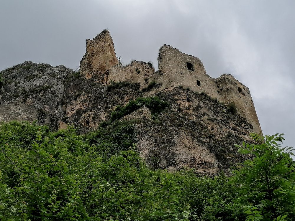 2025-05-29  Medvědáři na Súlově  W001
