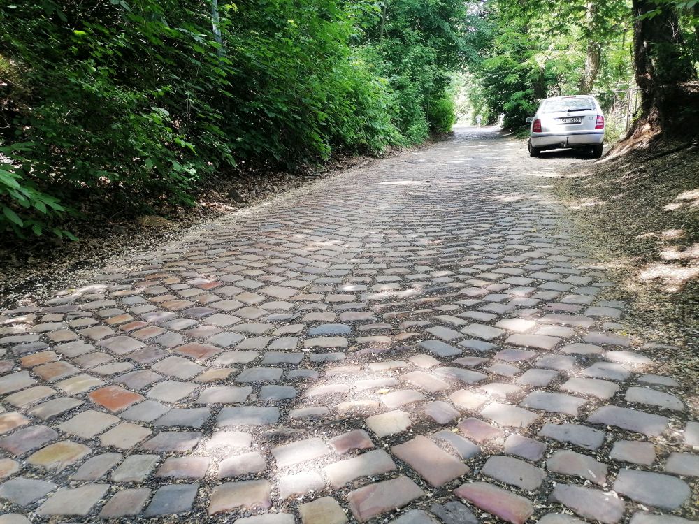 2025-05-31  Pražské vinice 2025  W002
