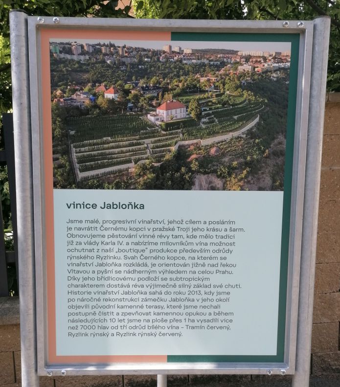 2025-05-31  Pražské vinice 2025  W005