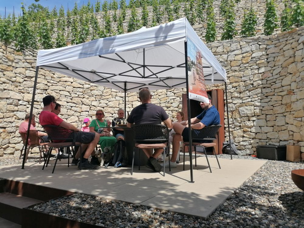 2025-05-31  Pražské vinice 2025  W014