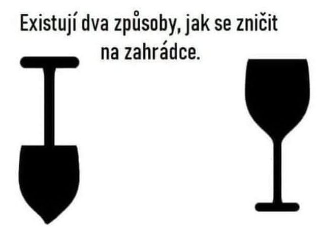 2025-05-31  Pražské vinice 2025  W028