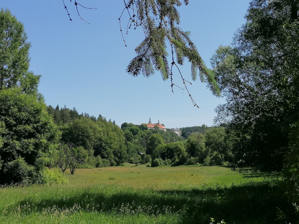 2025-06-22  Střelená Střela  W019