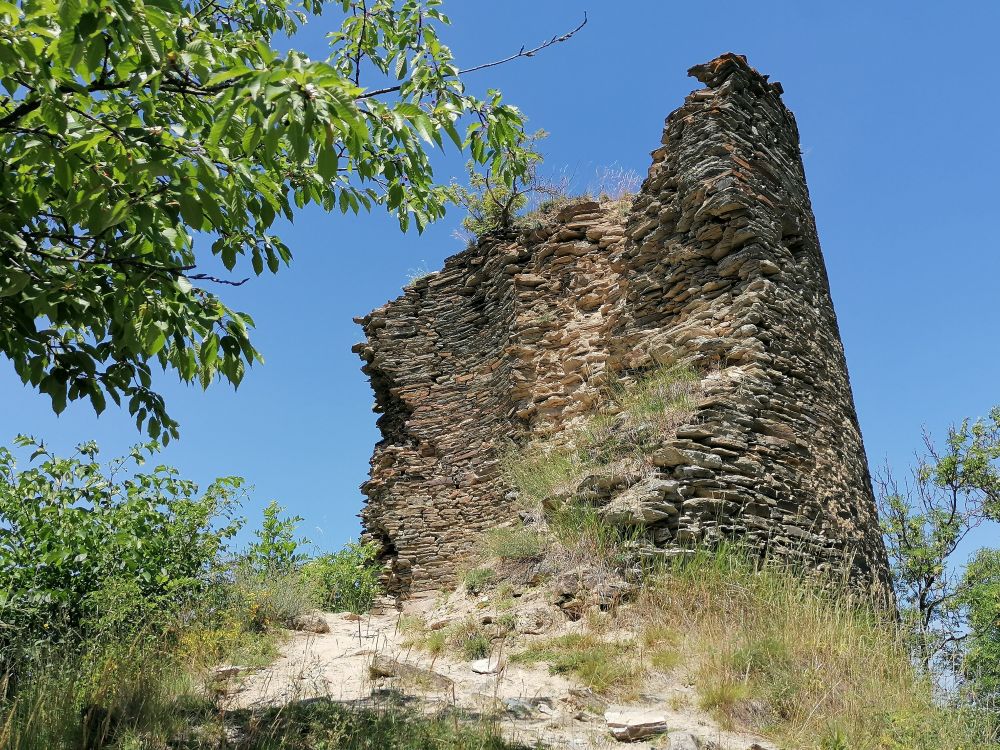 2025-06-22  Střelená Střela  W035