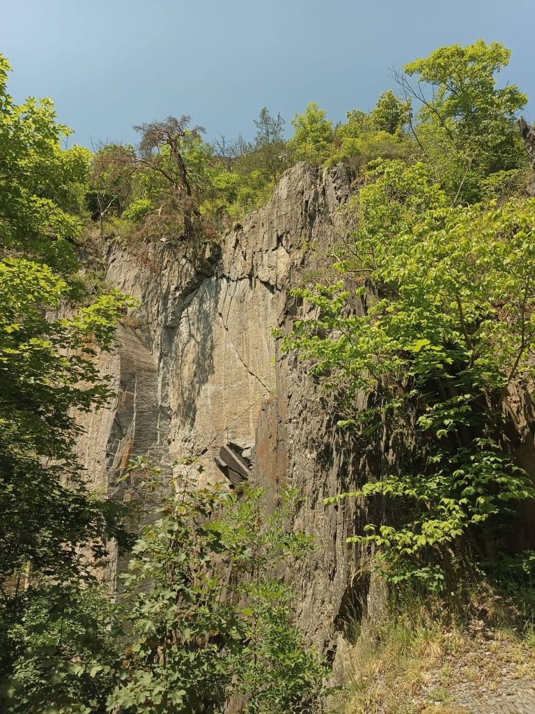 2025-06-22  Střelená Střela  W044