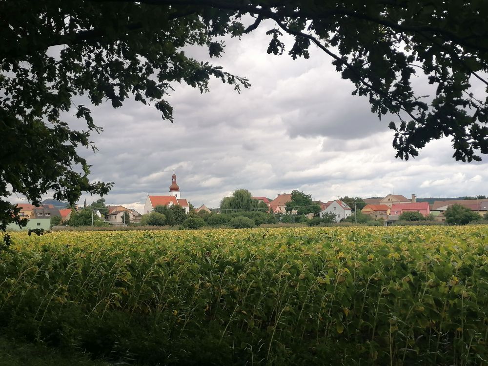 2025-08-23  Ze Stříbrníku do Loun  W003