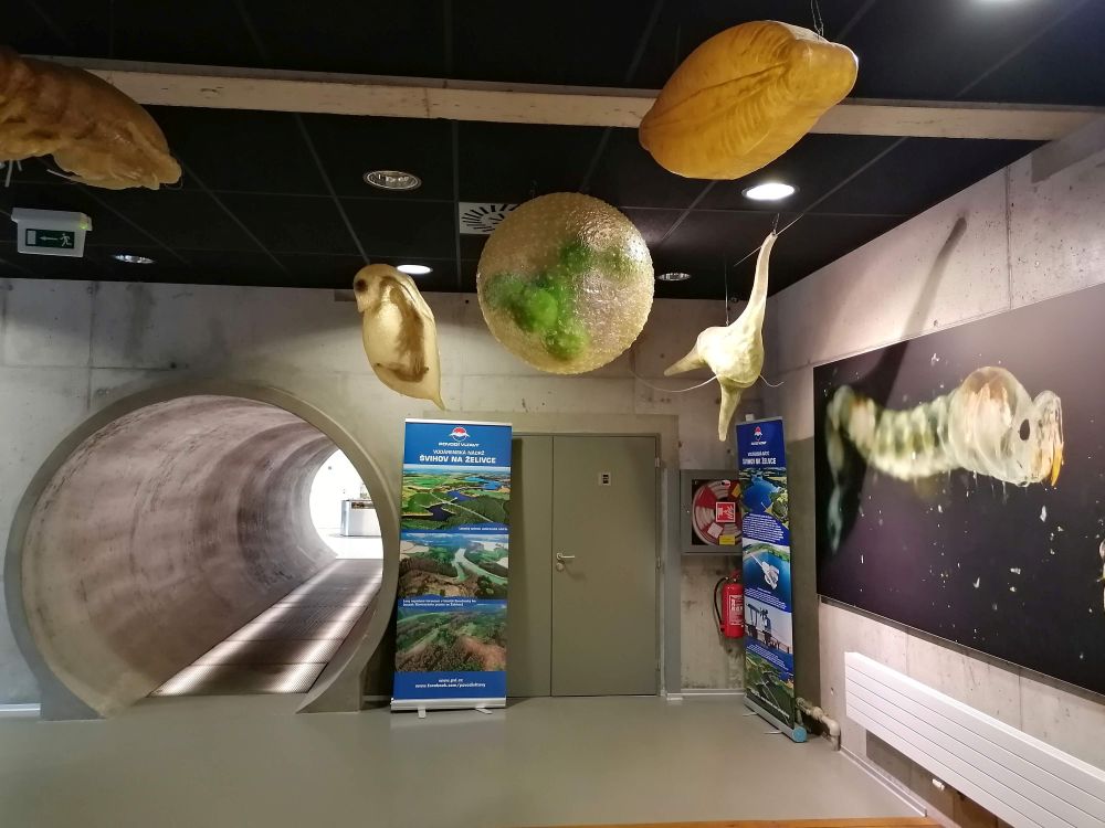 2025-11-09  Jaškov VI  006