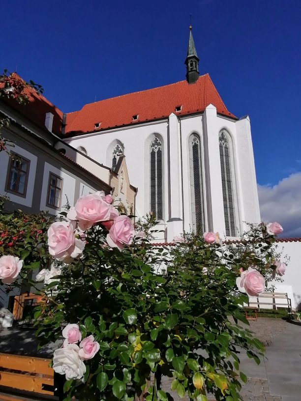 2025-10-24  Za Pány z Růže  W002