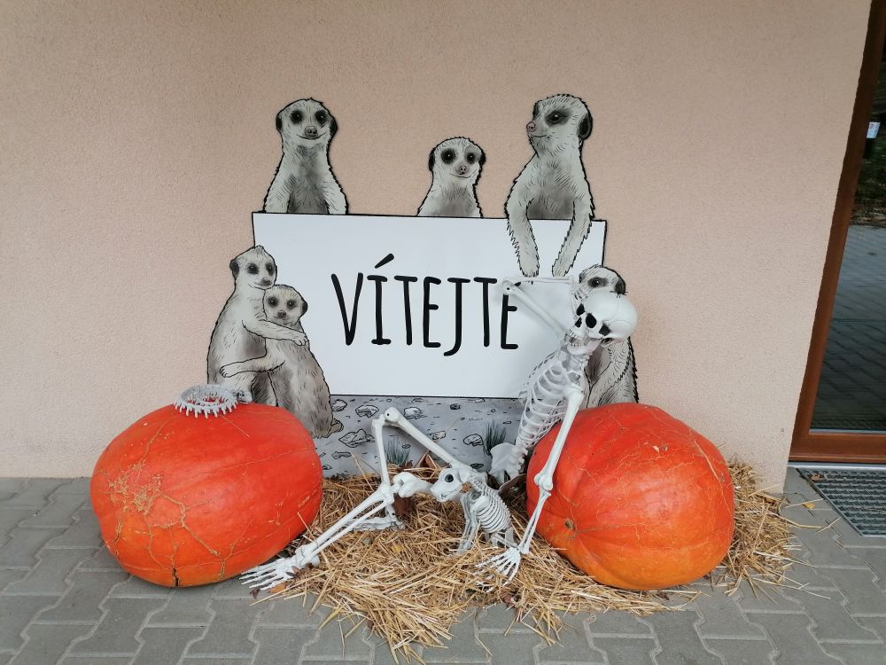 2025-10-25  Za Pány z Růže  W011