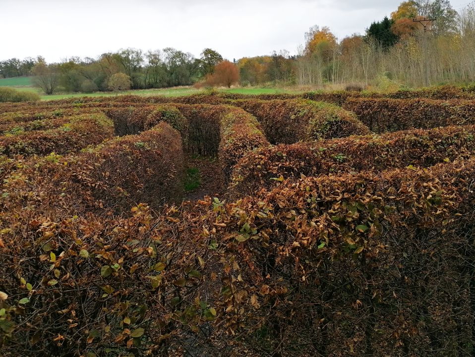 2025-10-25  Za Pány z Růže  W015