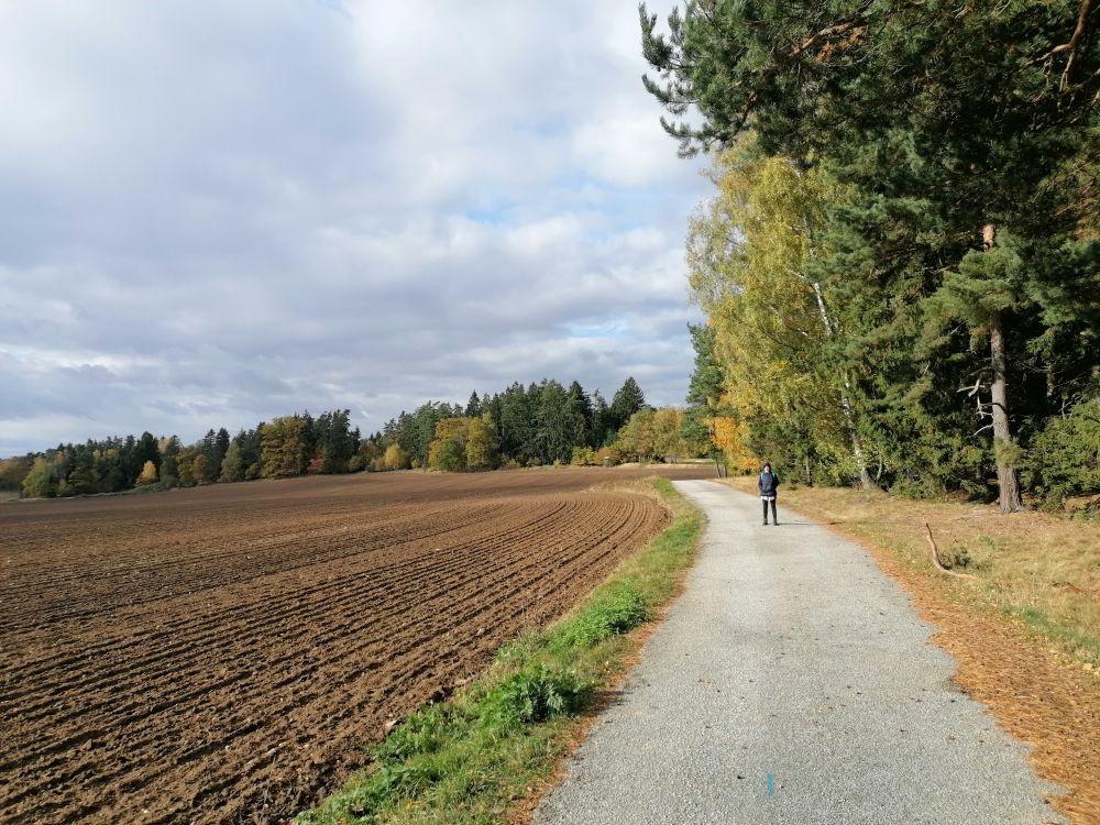 2025-10-28  Za Pány z Růže  W009