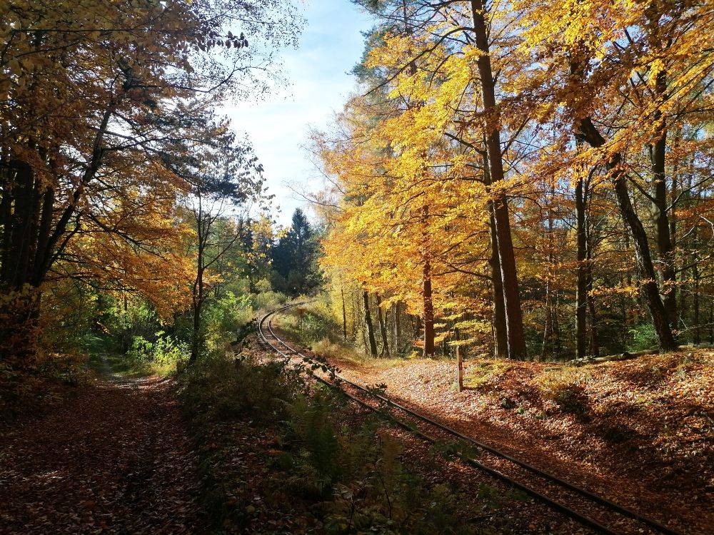 2025-10-29  Za Pány z Růže  W001