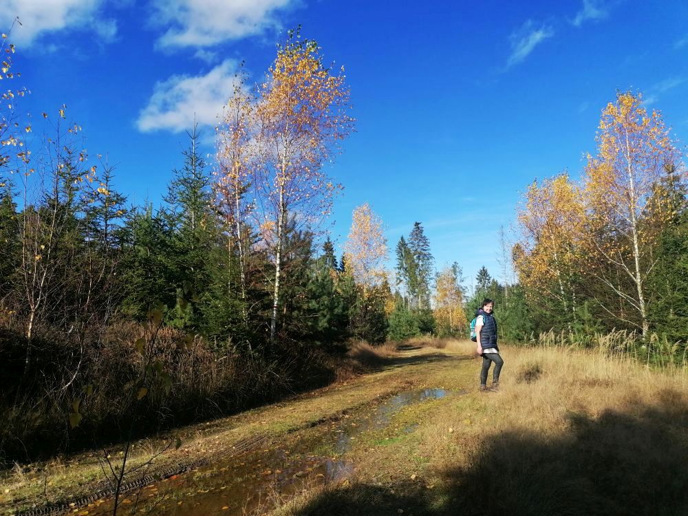 2025-10-29  Za Pány z Růže  W011