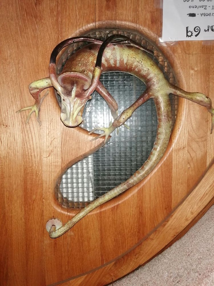 2025-10-29  Za Pány z Růže  W016