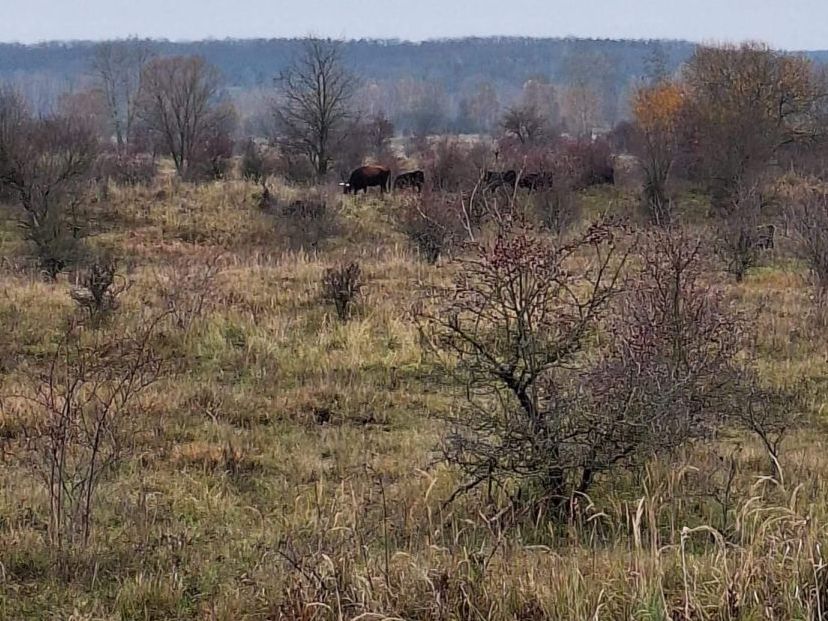 2025-11-15  Z Milovic do Všejan  W008