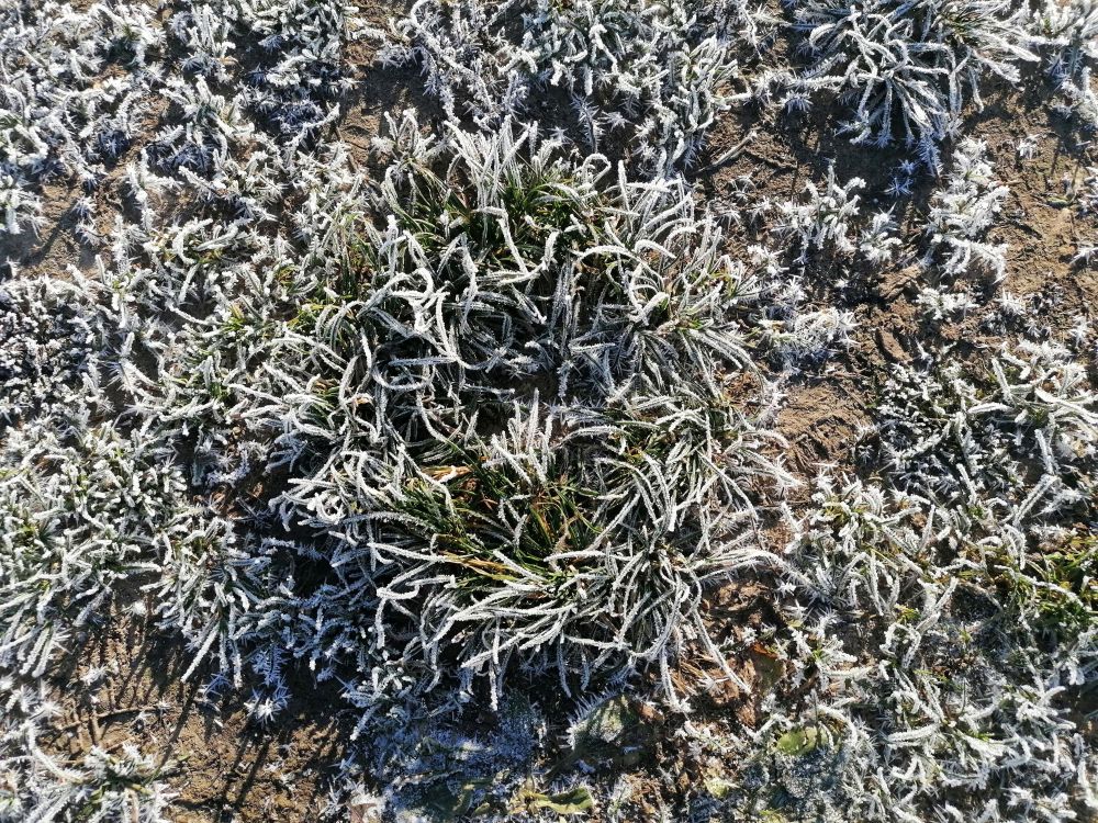 2025-11-23  Zimní Valečov  W003