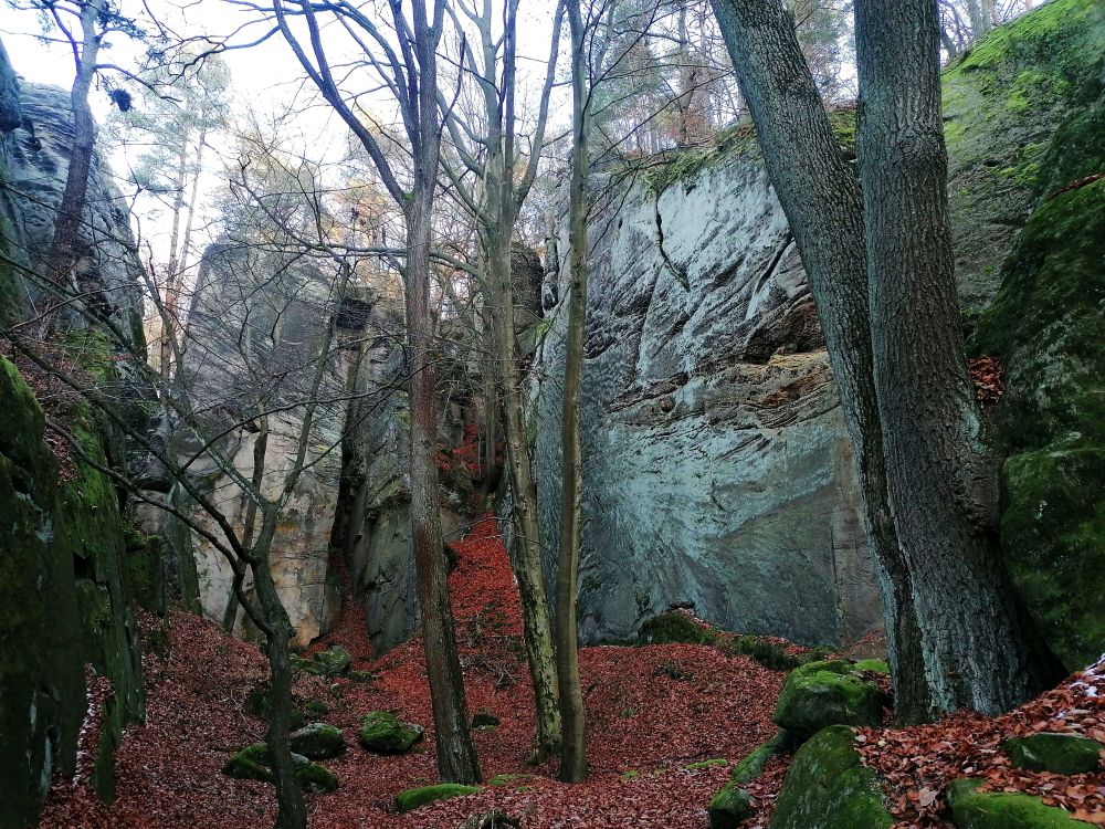 2025-11-23  Zimní Valečov  W028