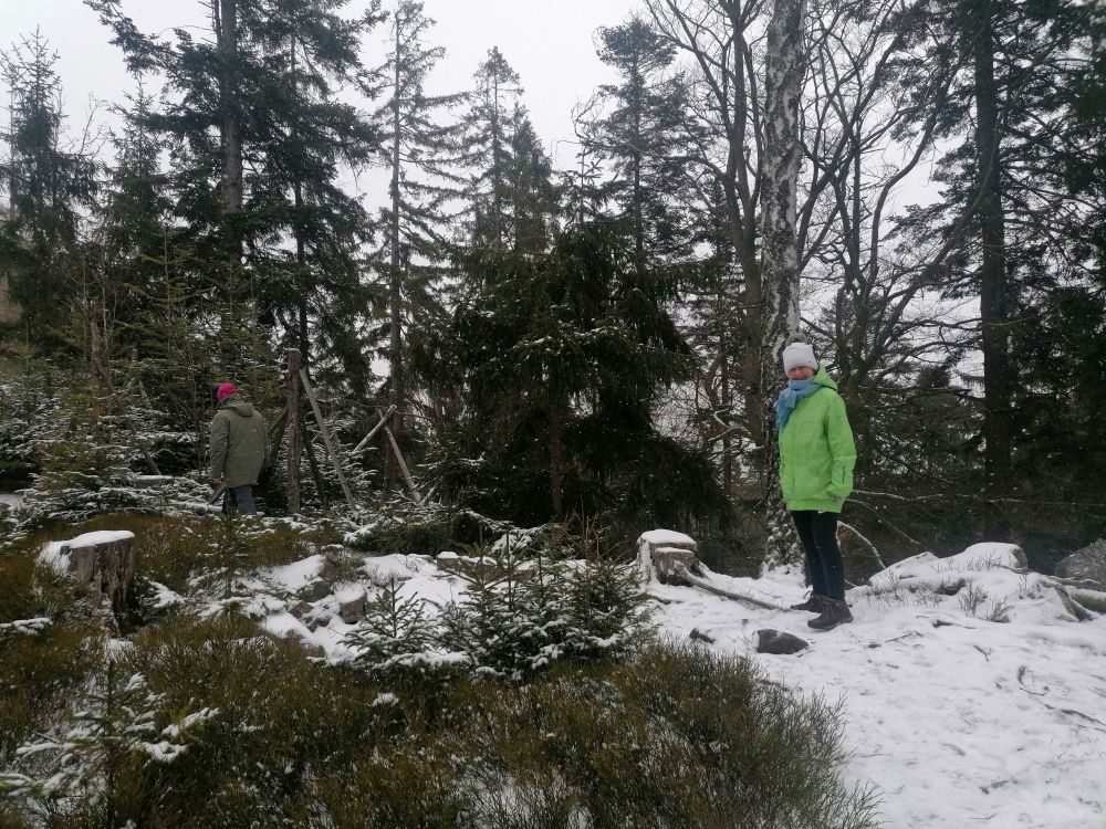 2025-12-31  Silvestrovská Cejnovna  012