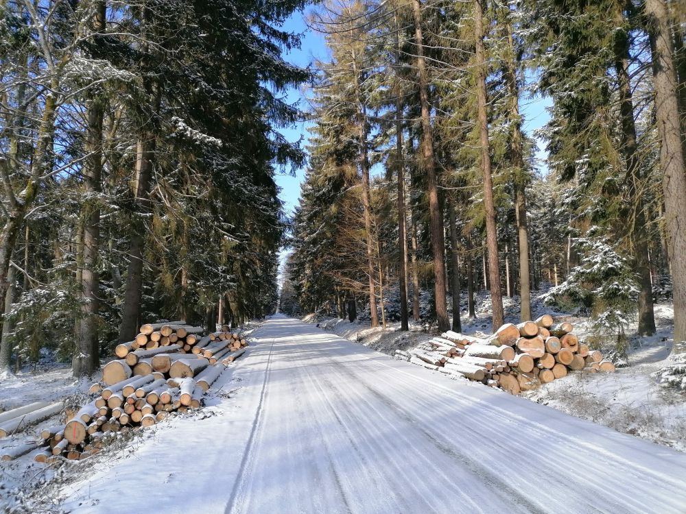 2026-02-15  Zasněžené Brdy  W004