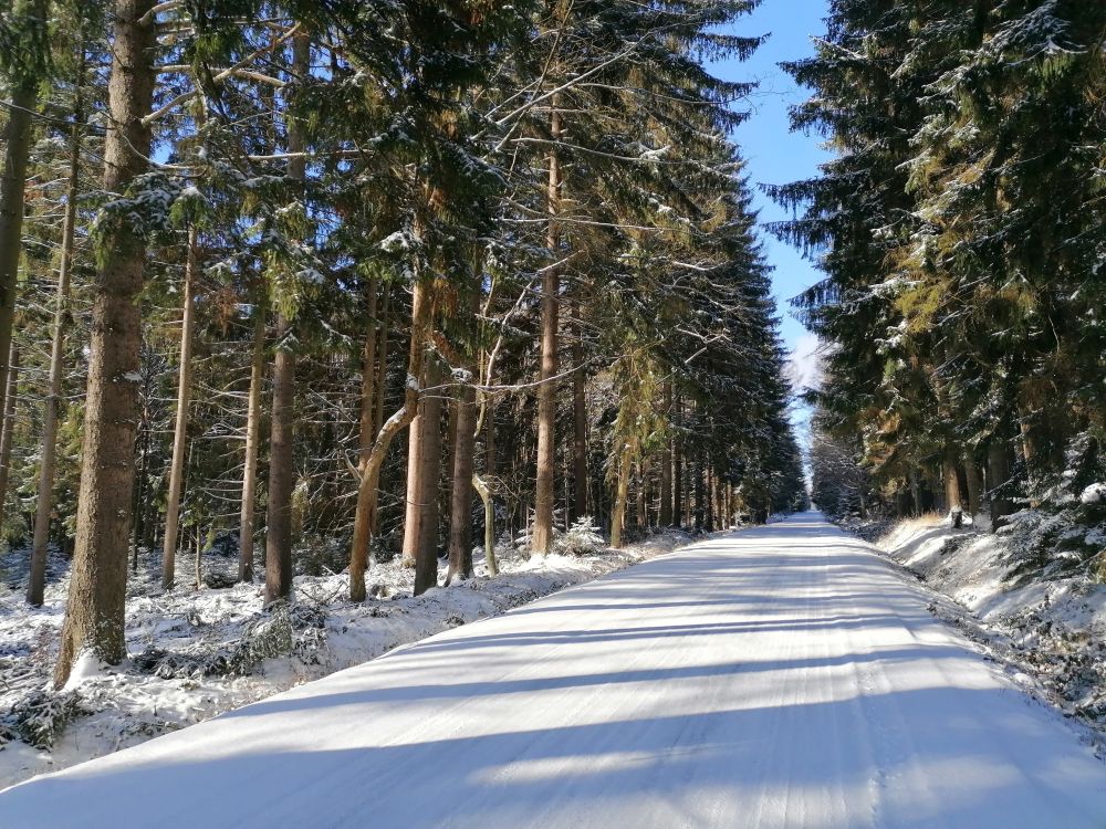 2026-02-15  Zasněžené Brdy  W005