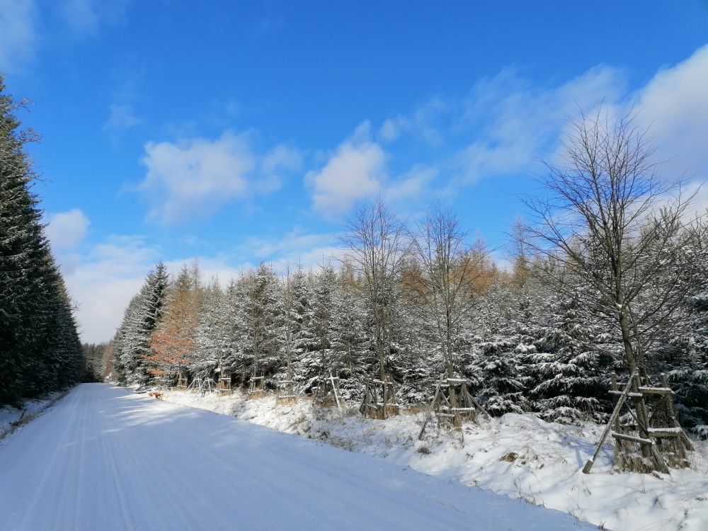 2026-02-15  Zasněžené Brdy  W008