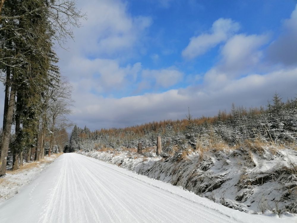 2026-02-15  Zasněžené Brdy  W010