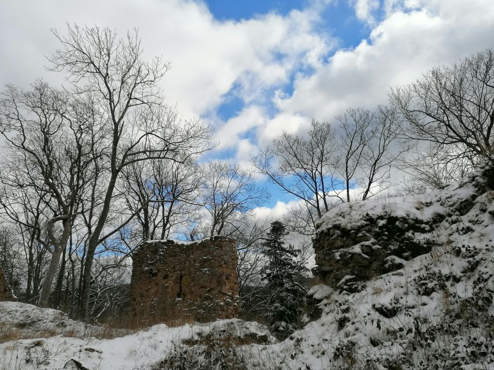 2026-02-15  Zasněžené Brdy  W017