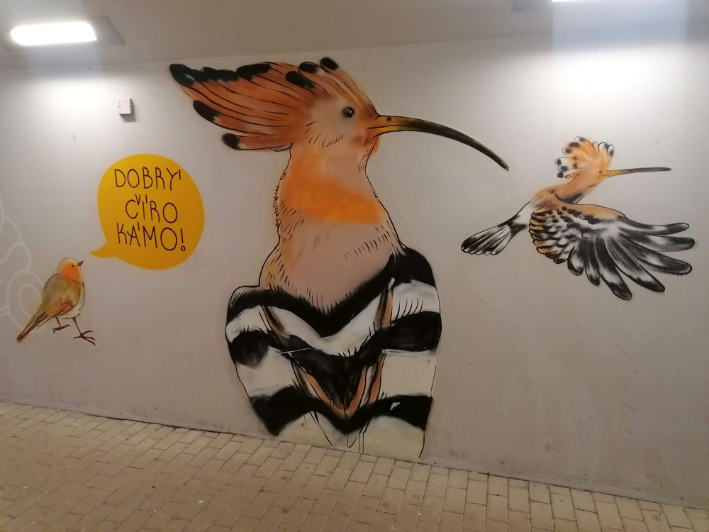 2026-02-15  Zasněžené Brdy  W024