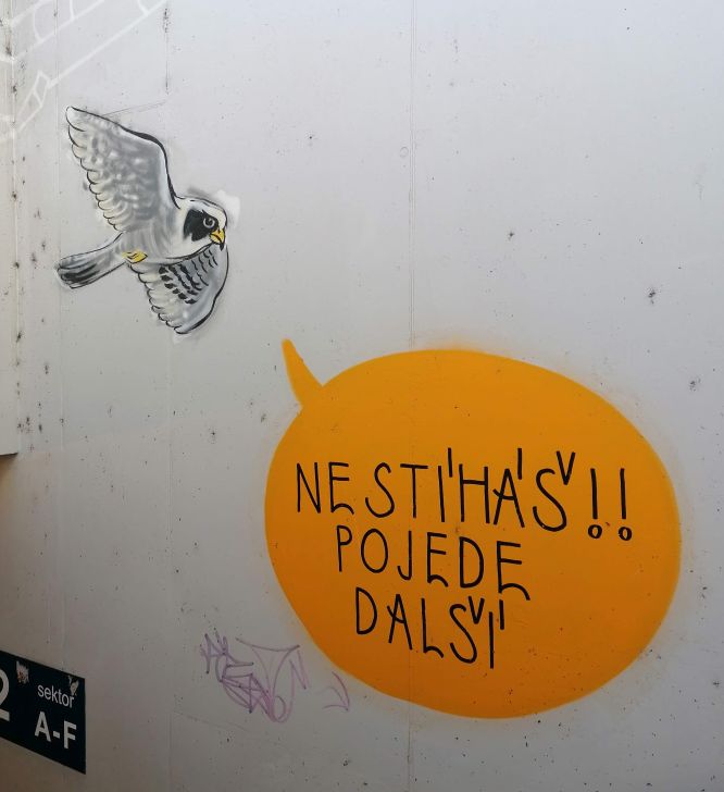 2026-02-15  Zasněžené Brdy  W025