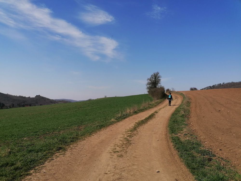 2026-03-22  Prstýnková svatba  W002