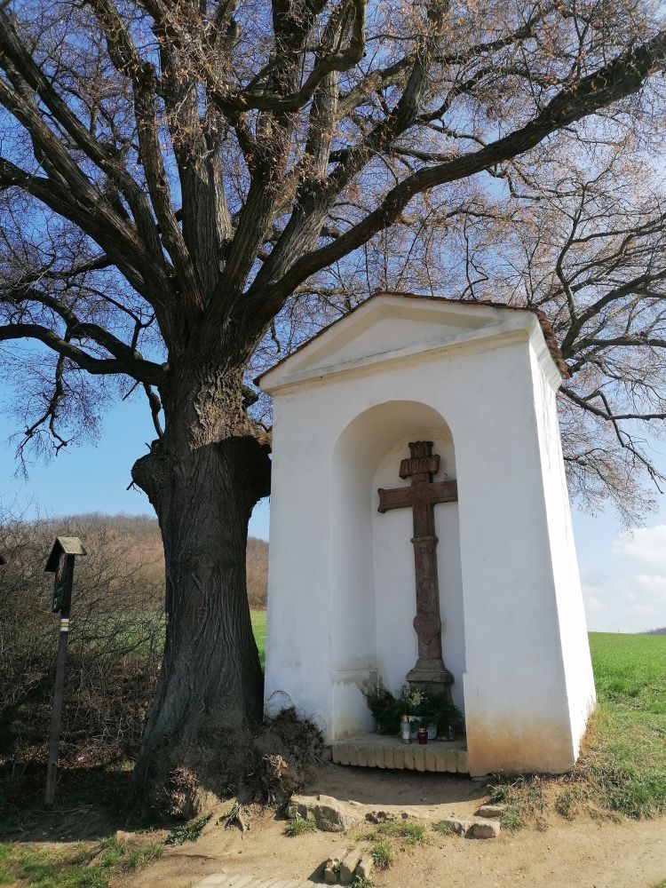 2026-03-22  Prstýnková svatba  W003