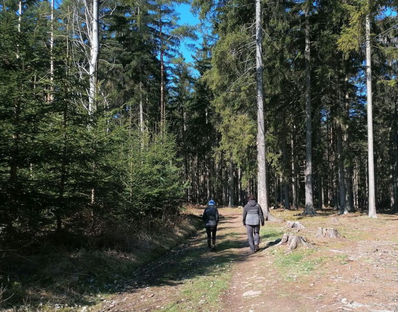 2026-03-27  Kopa malin  W002