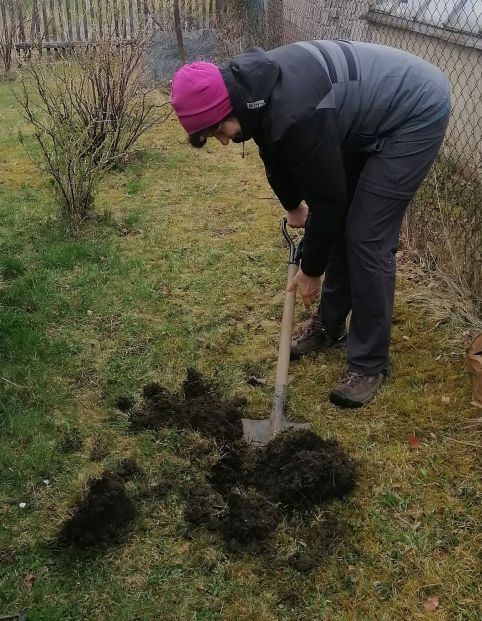 2026-03-27  Kopa malin  W038