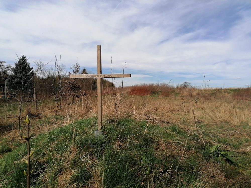 2026-04-05  Via Sancta  W017