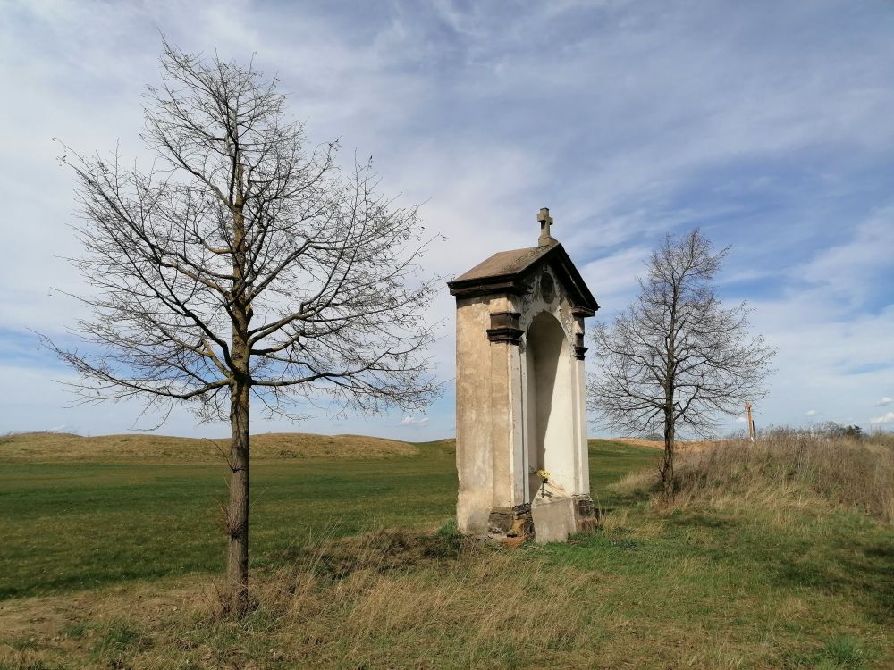 2026-04-05  Via Sancta  W019