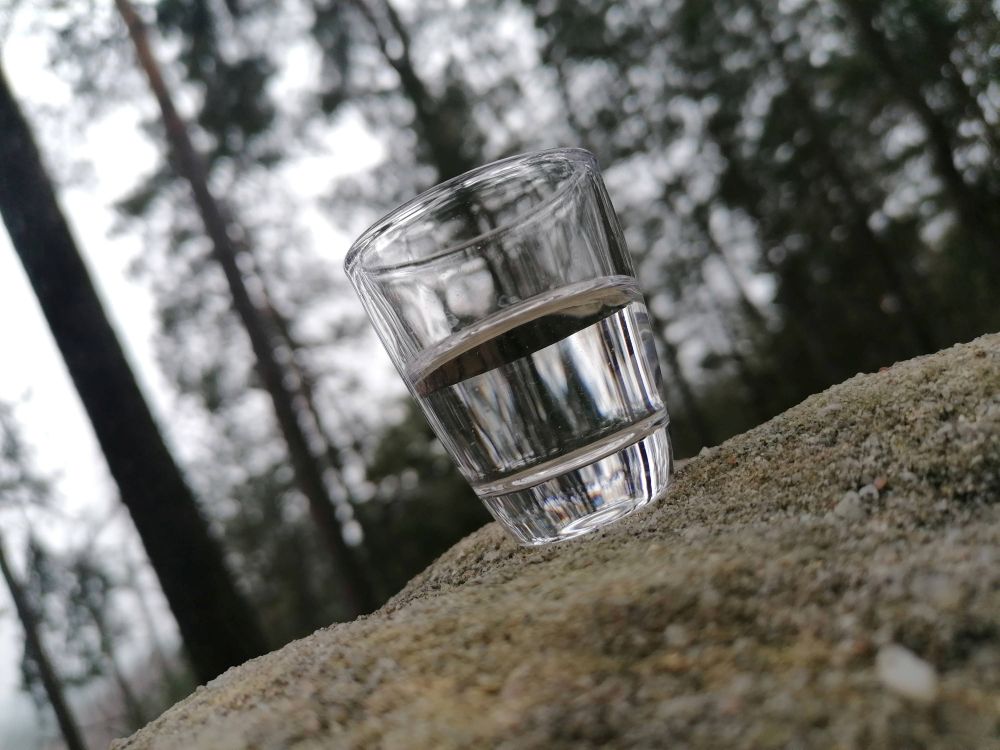 2026-04-10  Vítání jara 2026  W008