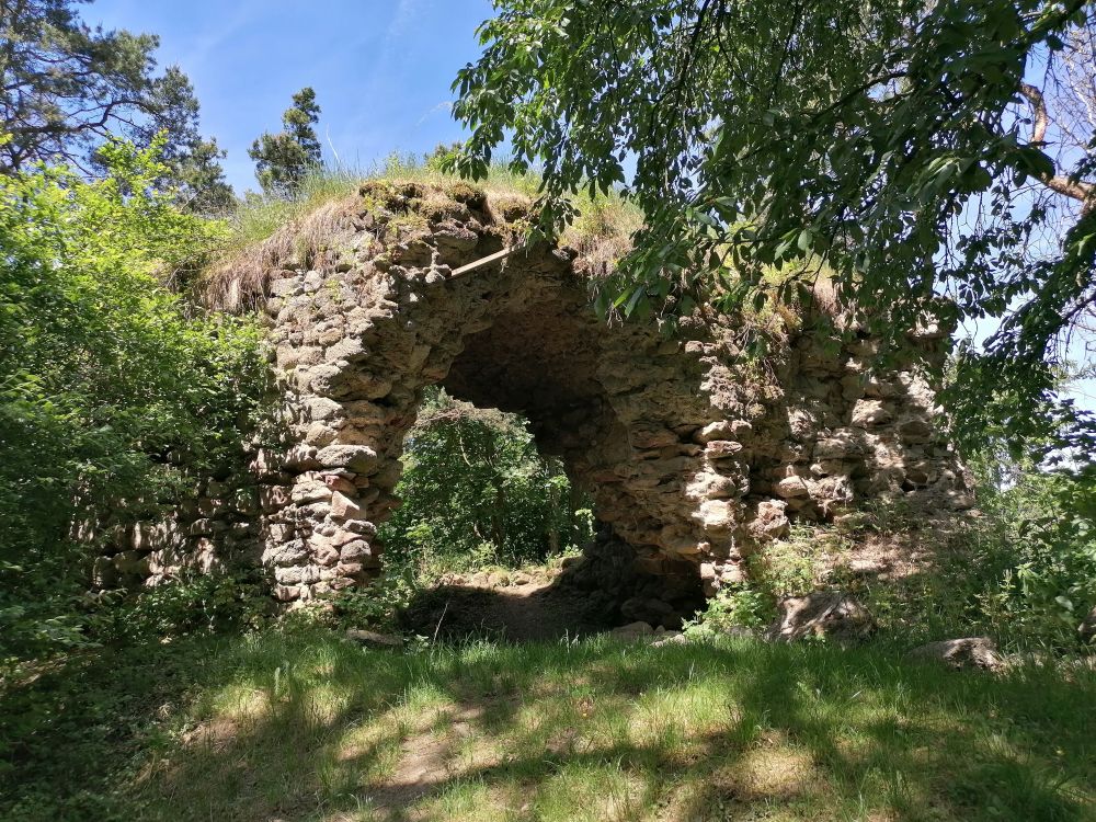 2026-05-29  Modráci v Karpatech  001