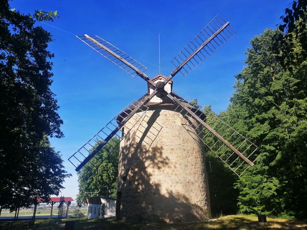 2026-05-29  Modráci v Karpatech  004