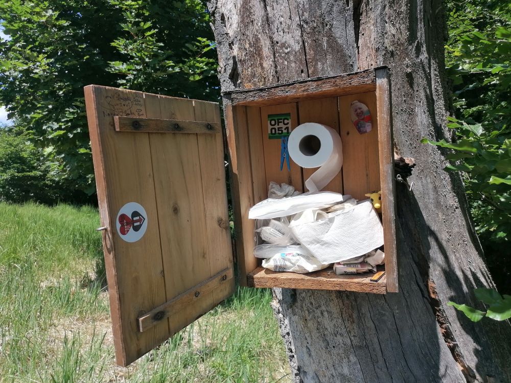2026-05-31  Modráci v Karpatech  004