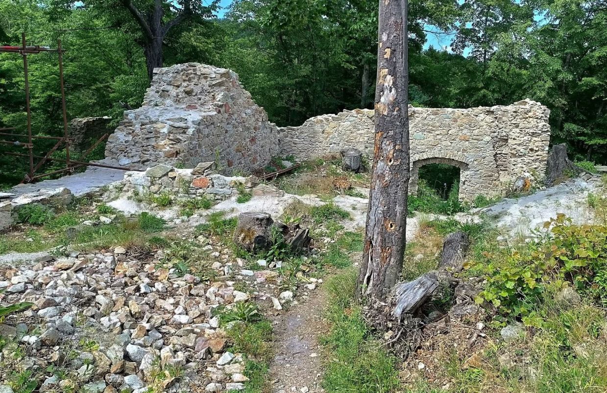 2026-05-31  Modráci v Karpatech  011