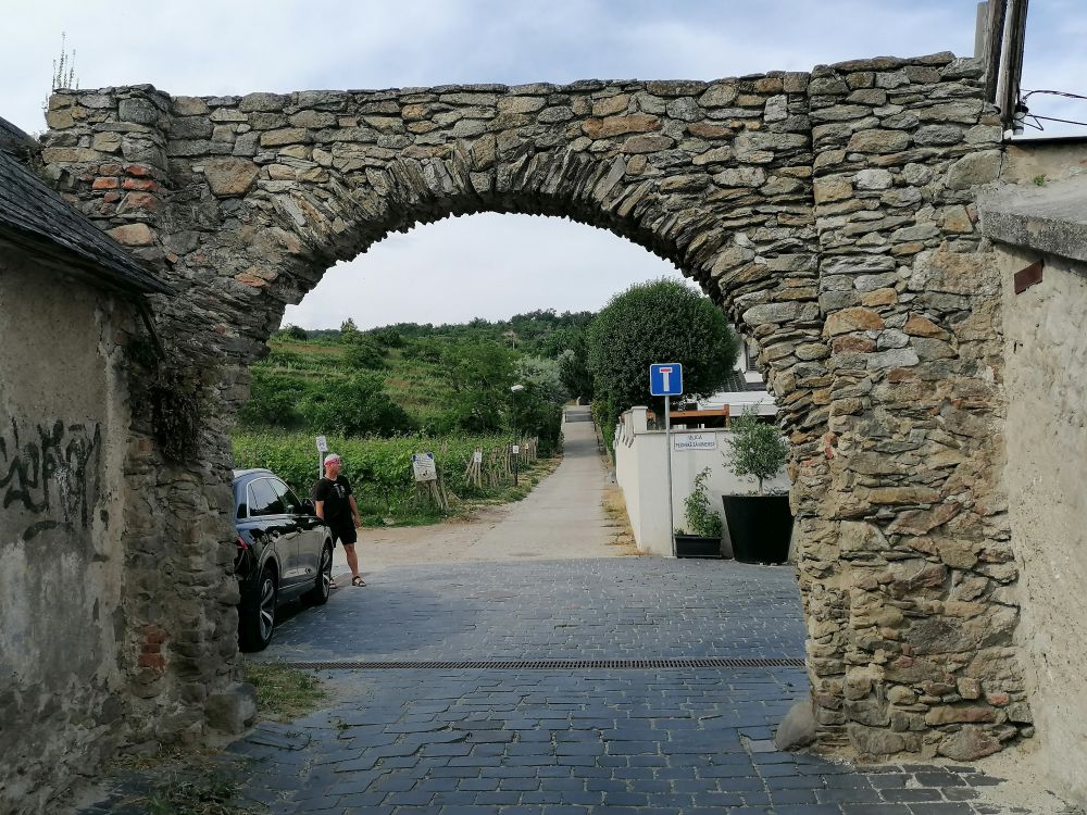 2026-05-31  Modráci v Karpatech  021