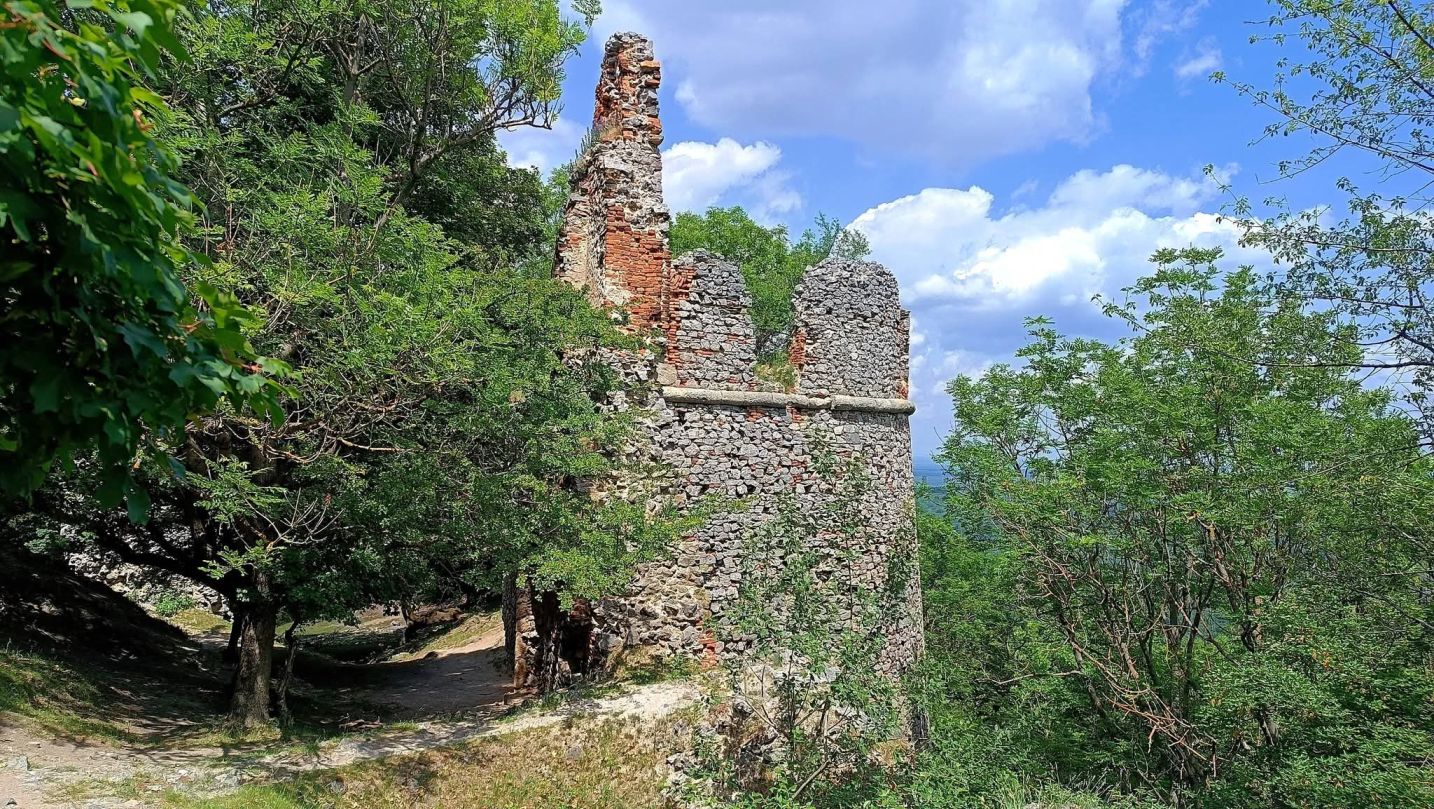 2026-06-02  Modráci v Karpatech  009