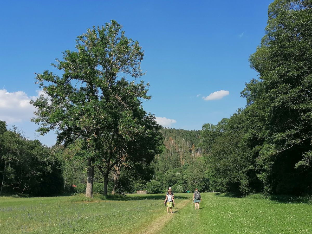 2026-06-27  Uvařená Střela  W033
